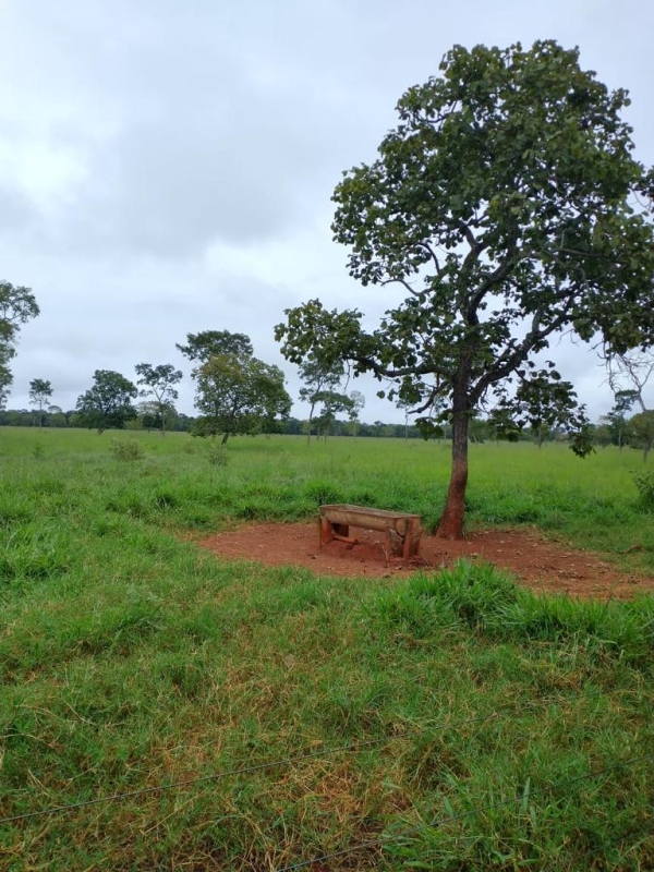 Sítio, 1 quarto, 60 m² - Foto 7