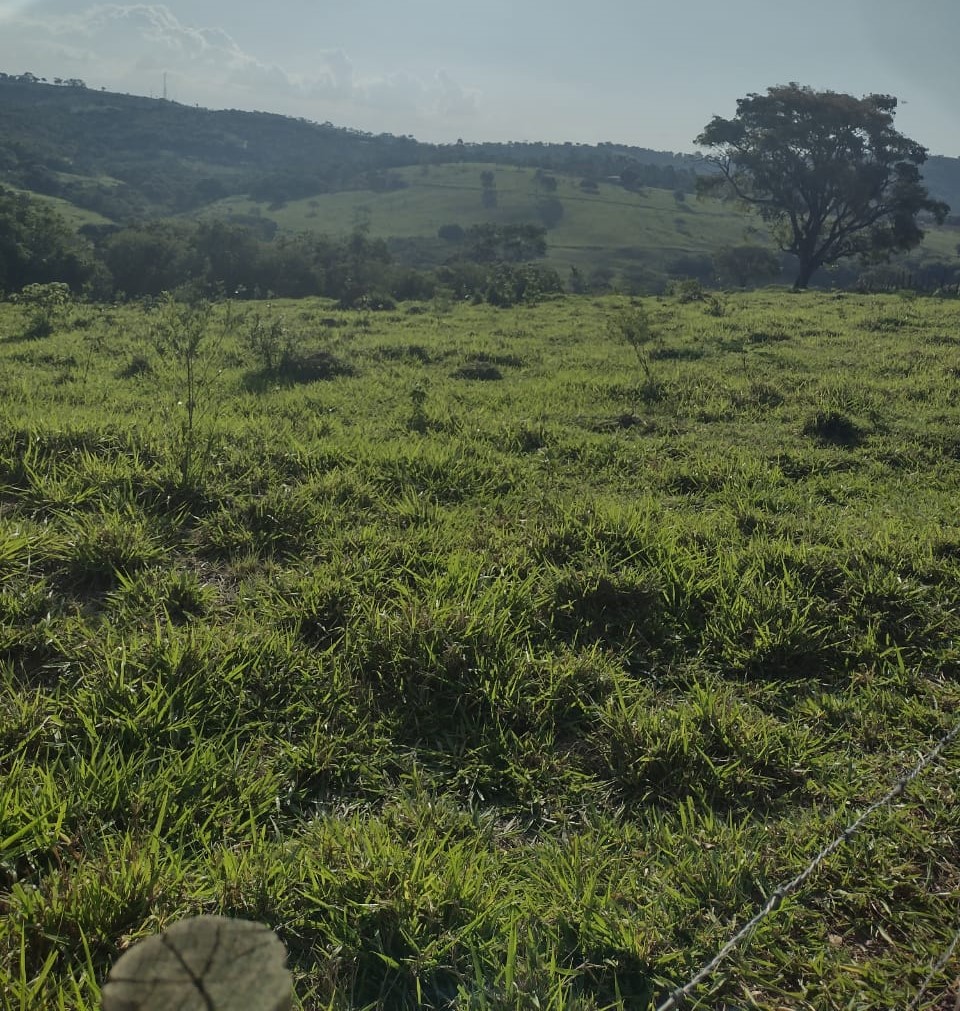 Fazenda, 1 quarto - Foto 5