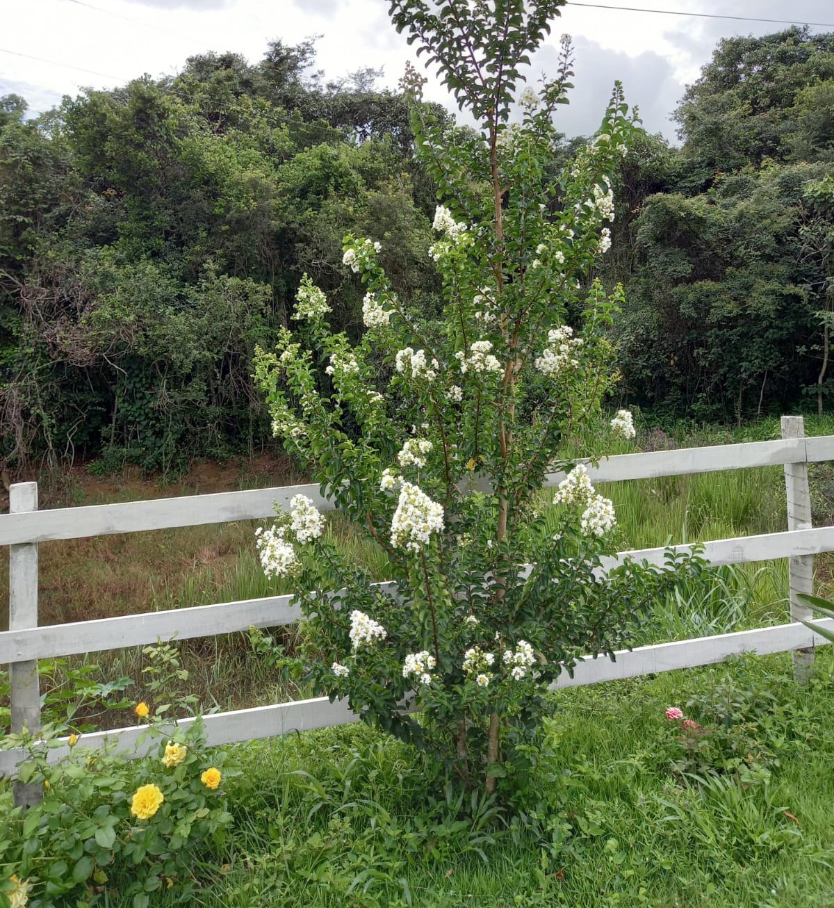 Fazenda, 1 quarto - Foto 23