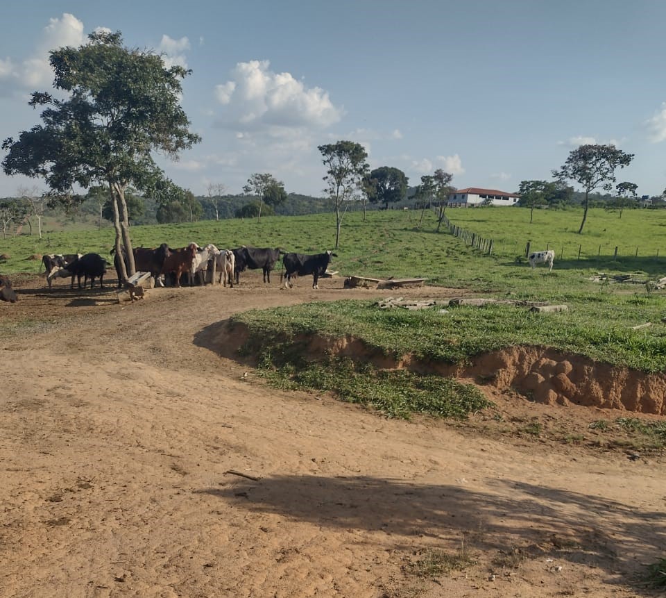 Fazenda, 1 quarto - Foto 7