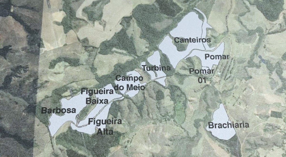 Fazenda, 487 hectares - Foto 25