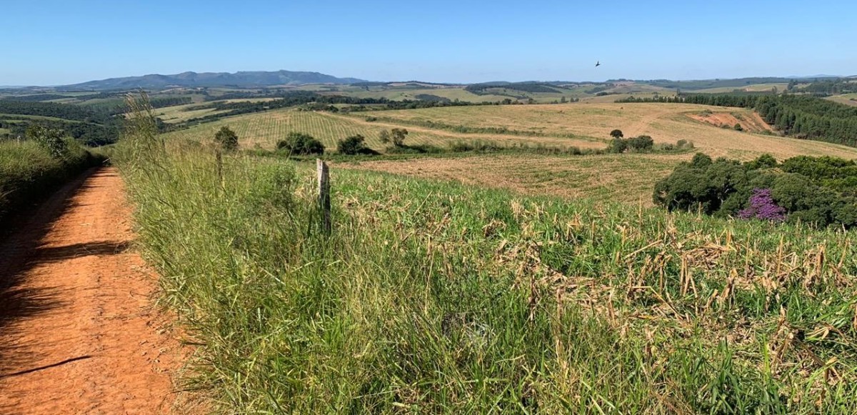 Fazenda, 487 hectares - Foto 2