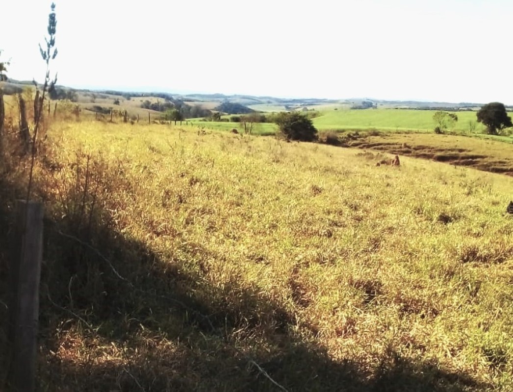 Fazenda, 487 hectares - Foto 10