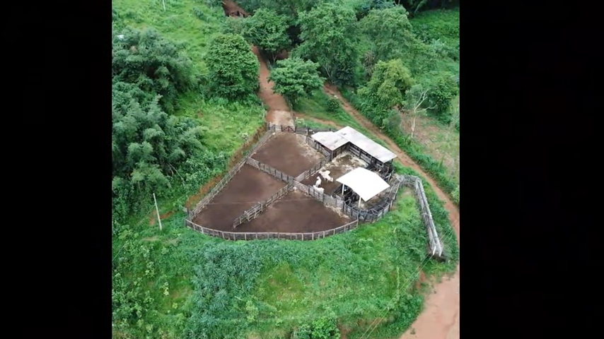 Fazenda, 4 quartos - Foto 3