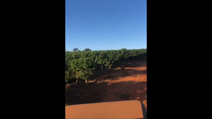 Fazenda, 2 quartos - Foto 5