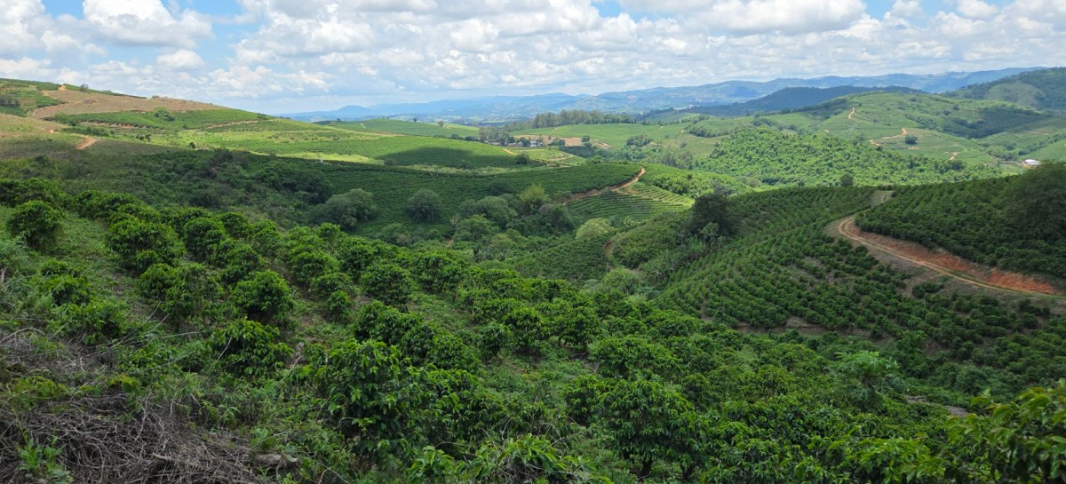 Fazenda, 3 quartos - Foto 4