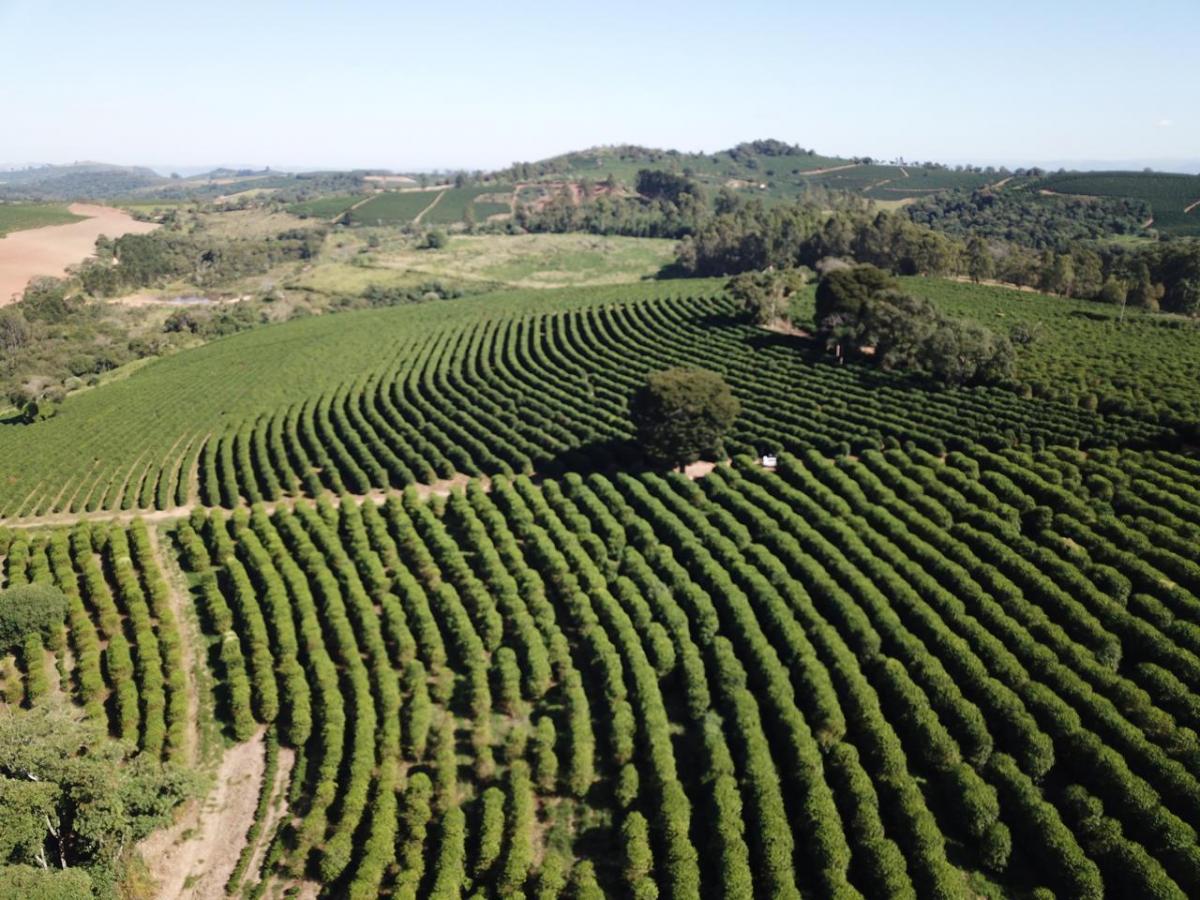 Fazenda, 3 quartos - Foto 7