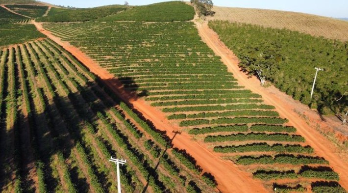 Fazenda, 3 quartos - Foto 10