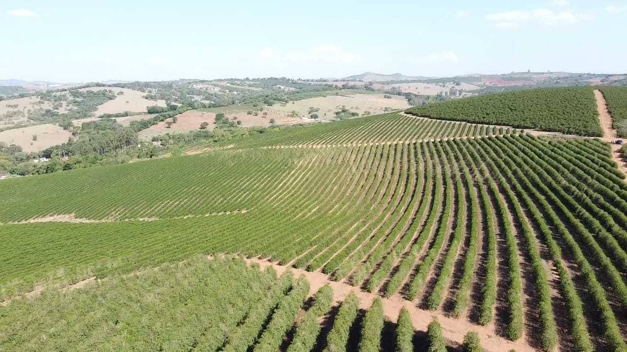 Fazenda, 3 quartos - Foto 12