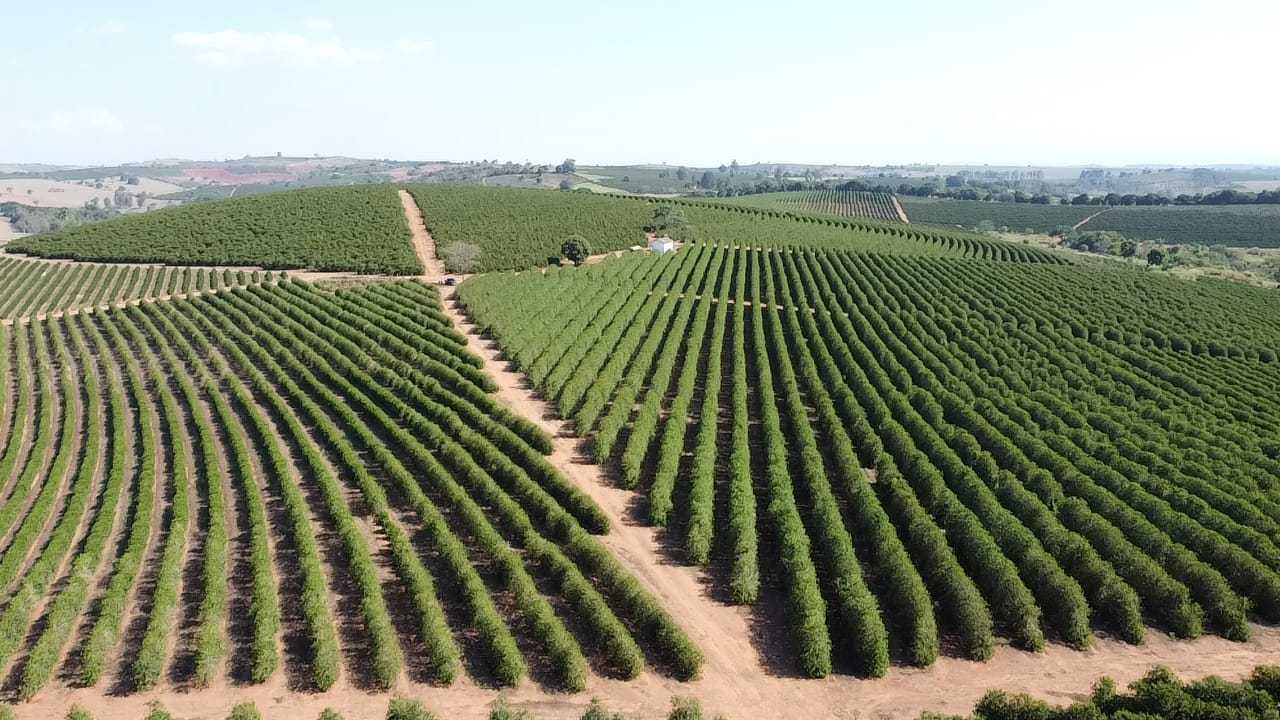 Fazenda, 3 quartos - Foto 9