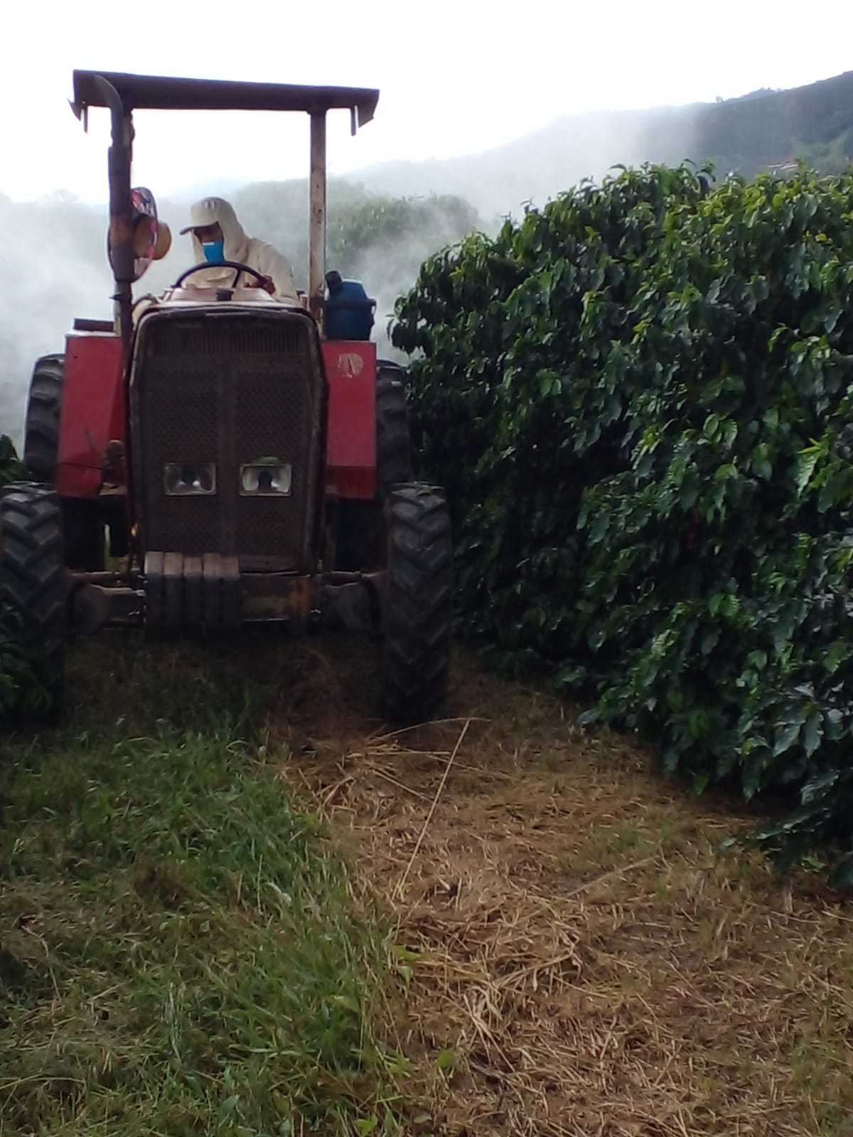 Fazenda, 3 quartos - Foto 25