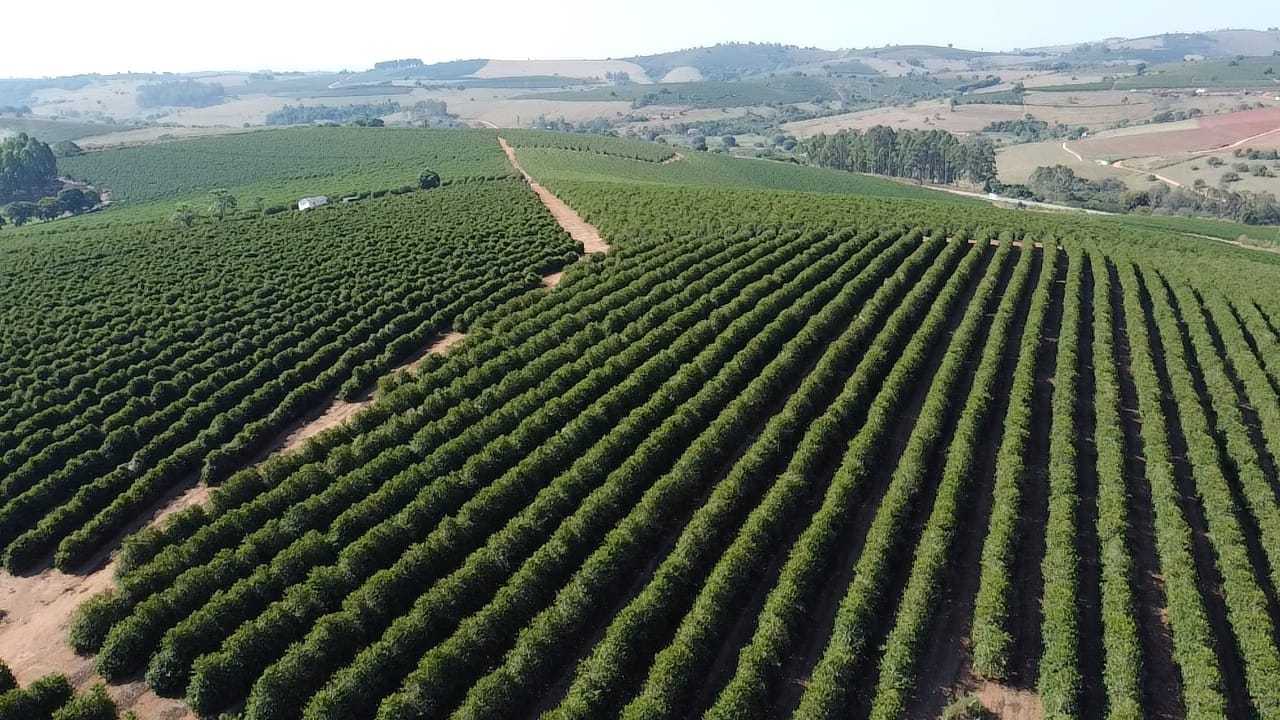 Fazenda, 3 quartos - Foto 2