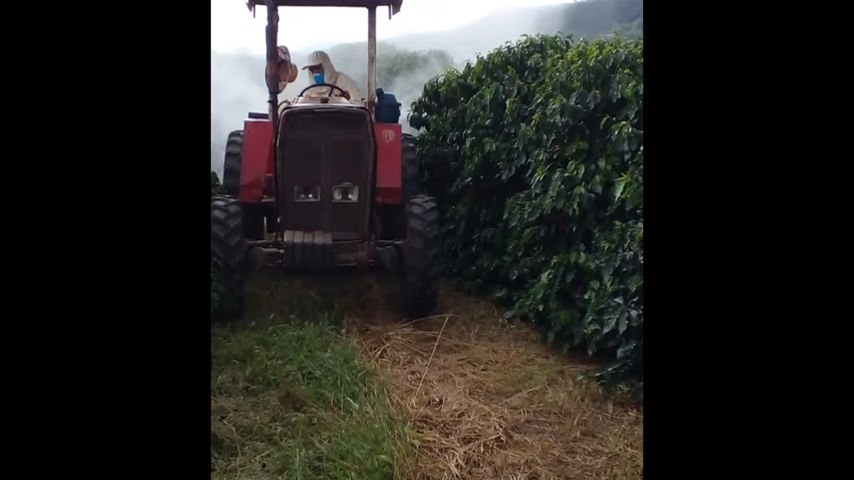 Fazenda, 3 quartos - Foto 24