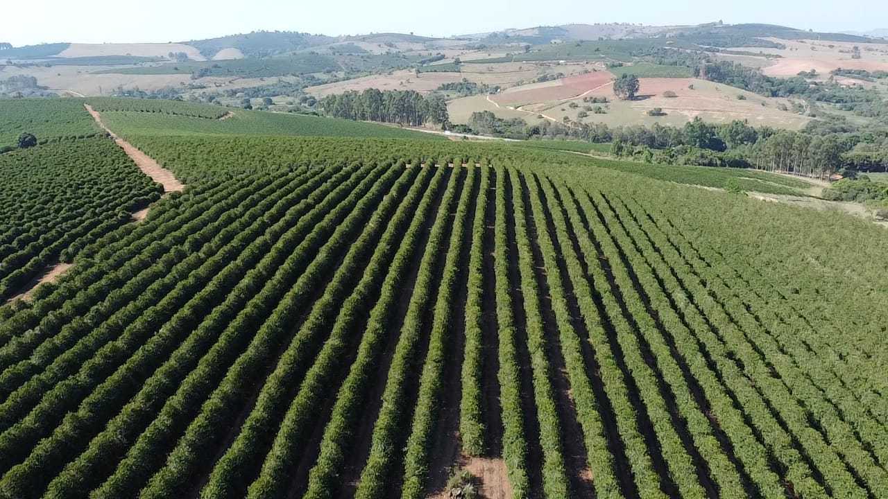 Fazenda, 3 quartos - Foto 6