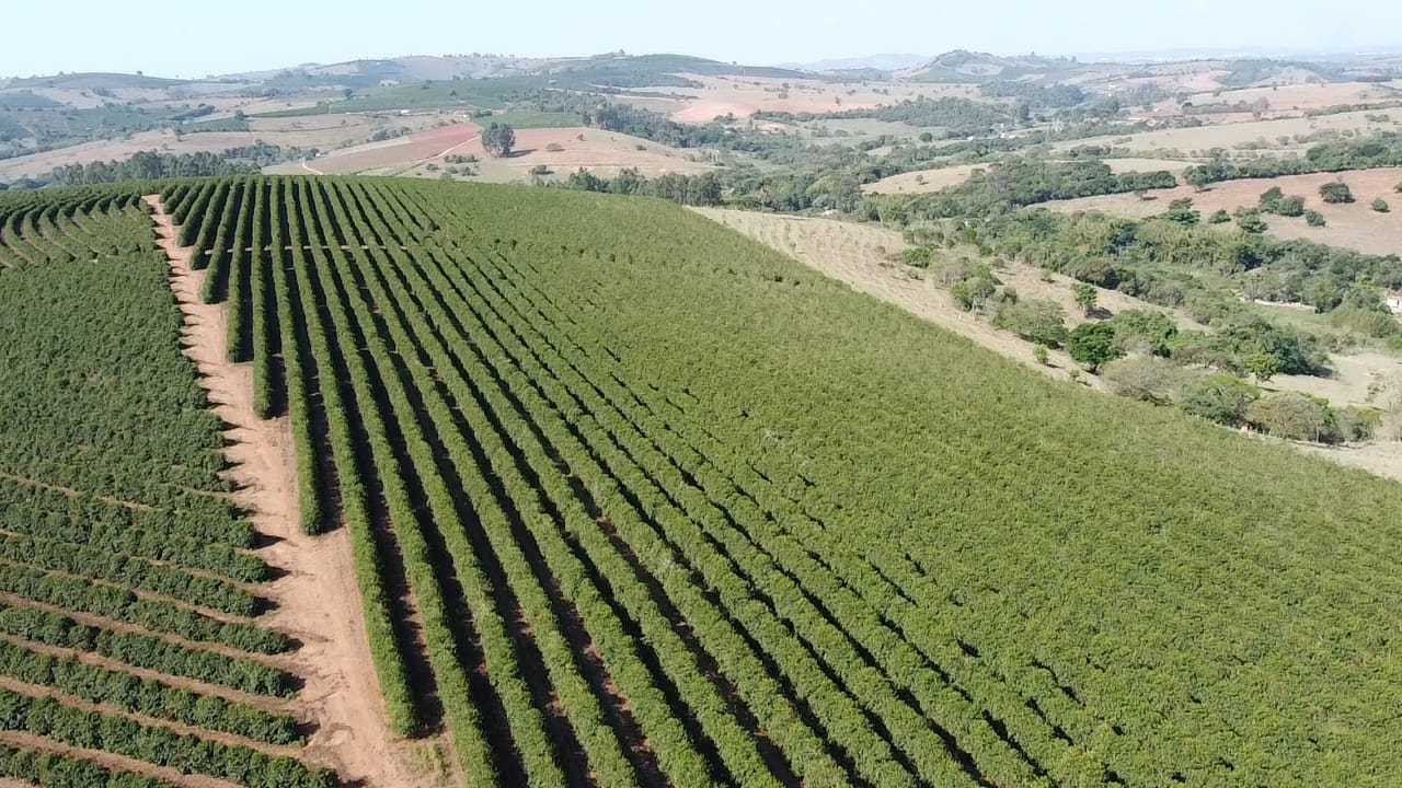 Fazenda, 3 quartos - Foto 4