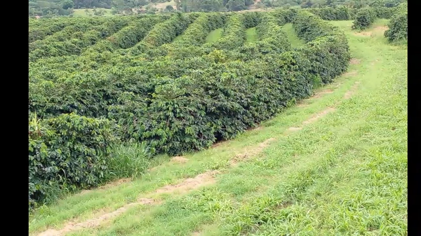 Fazenda, 3 quartos - Foto 3