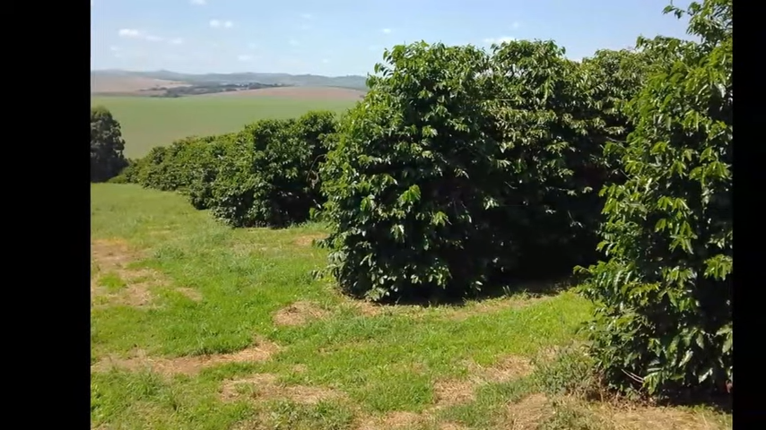 Fazenda, 3 quartos - Foto 18