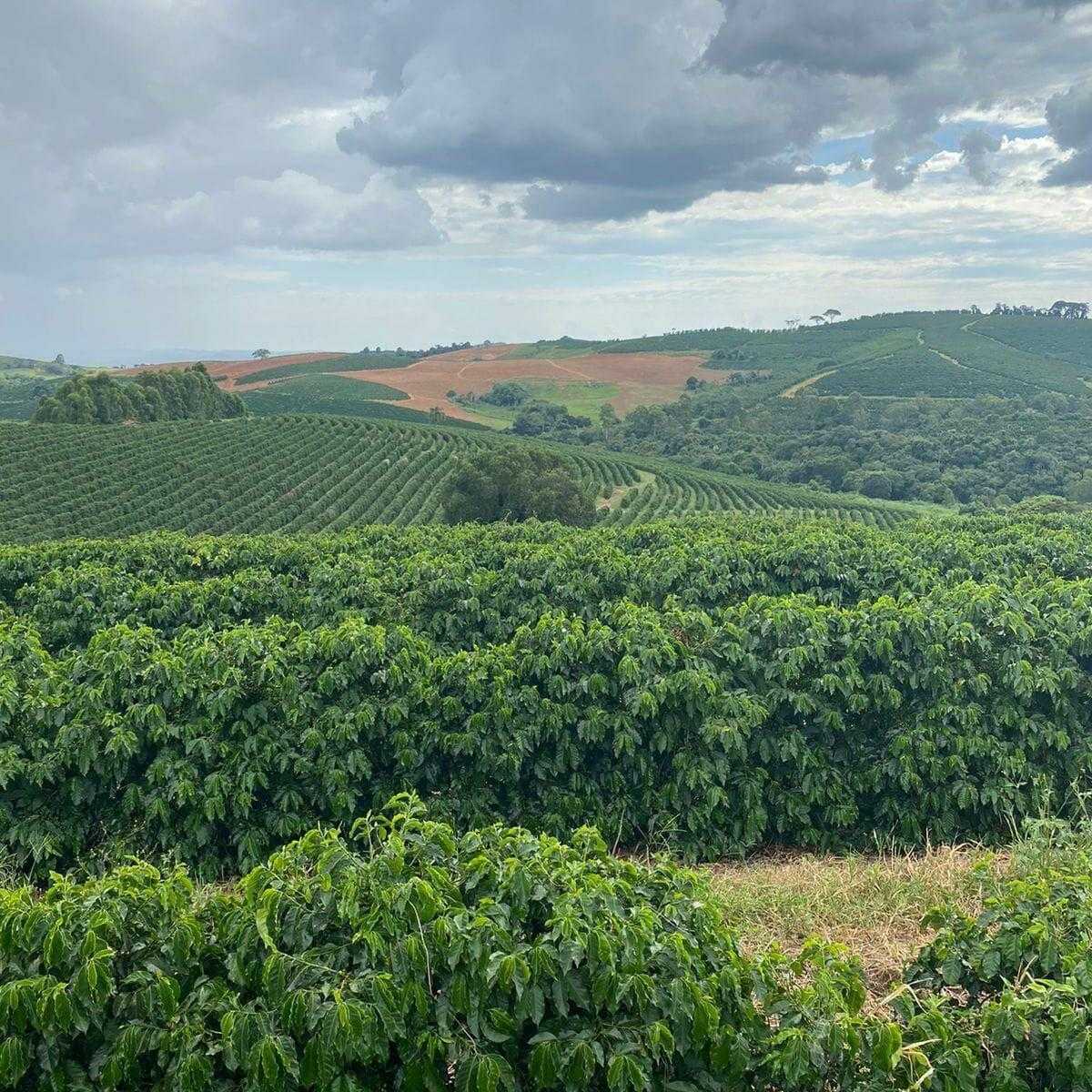 Fazenda, 3 quartos - Foto 10