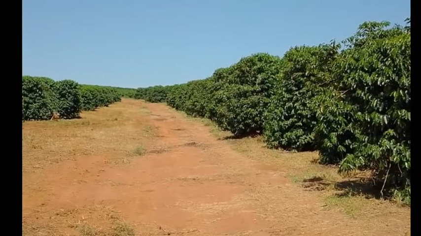 Fazenda, 3 quartos - Foto 20