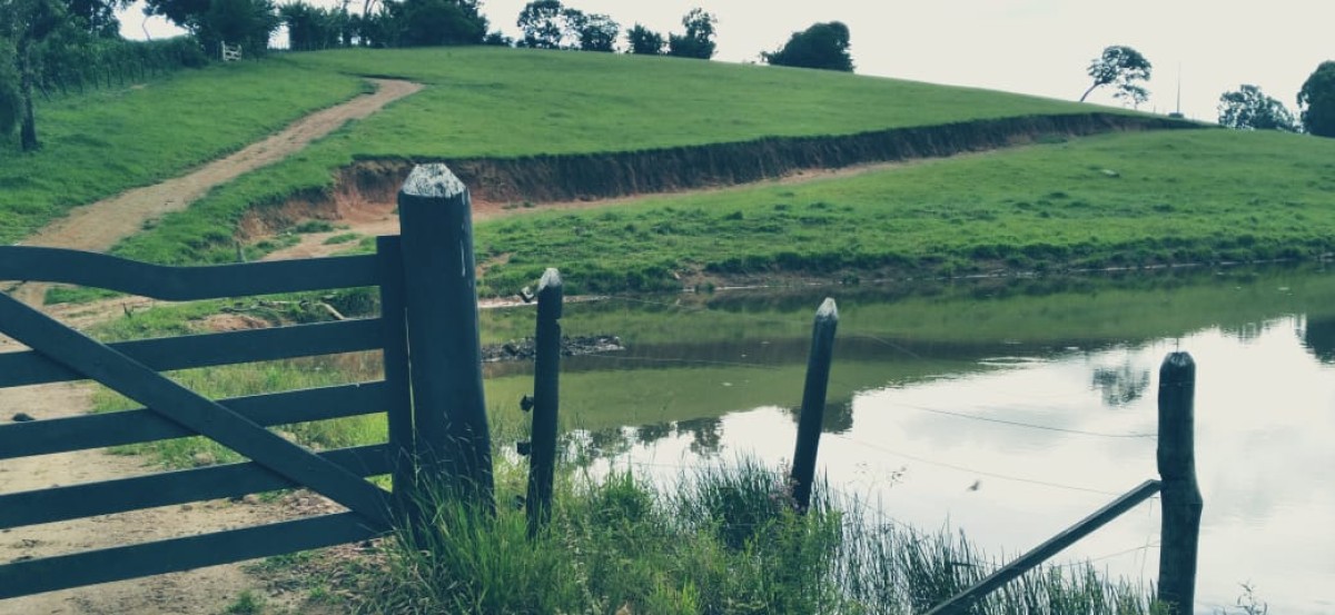Fazenda-Sítio-Chácara, 153 hectares - Foto 8