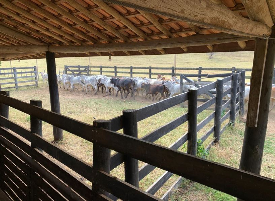 Fazenda, 153 hectares - Foto 16