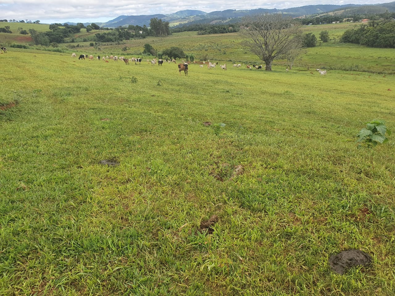 Fazenda, 155 hectares - Foto 11