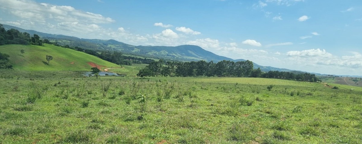 Fazenda, 155 hectares - Foto 9