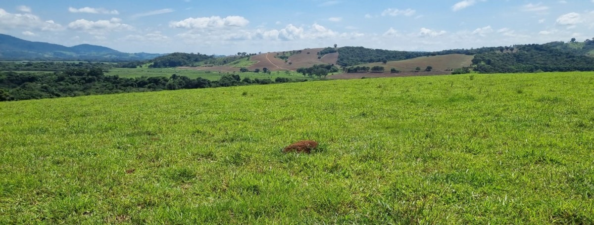 Fazenda, 155 hectares - Foto 13
