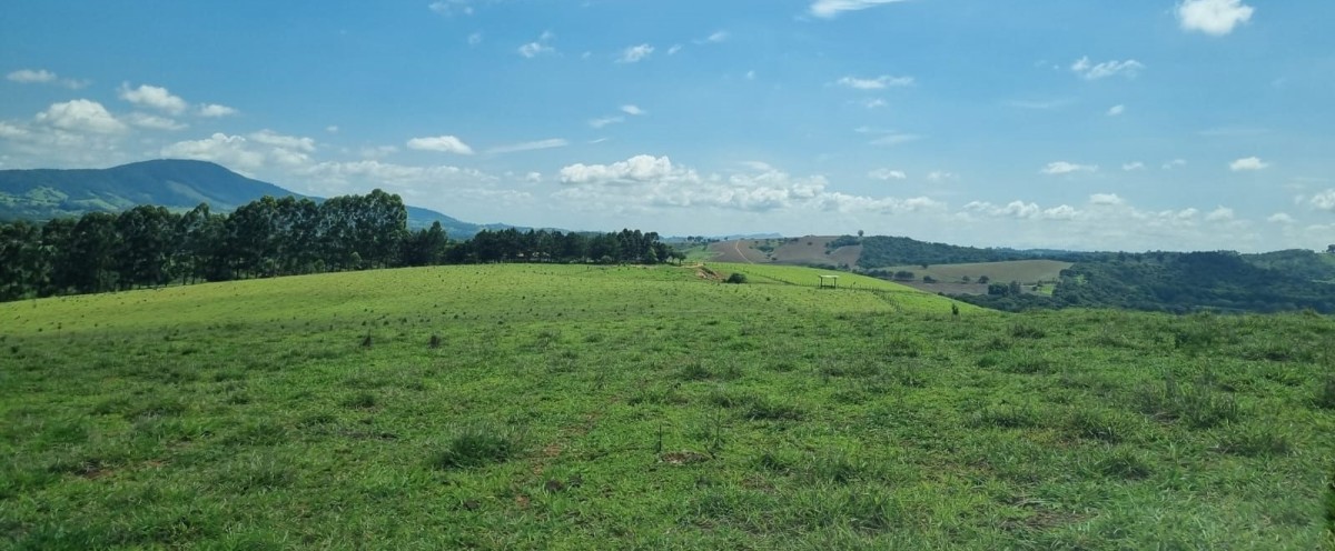 Fazenda, 155 hectares - Foto 10