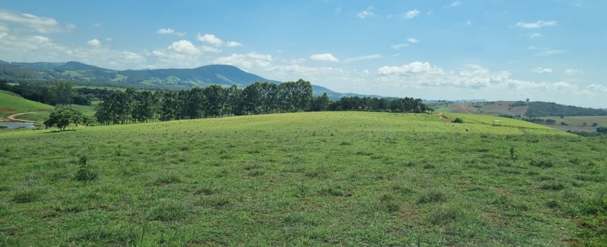 Fazenda, 155 hectares - Foto 14