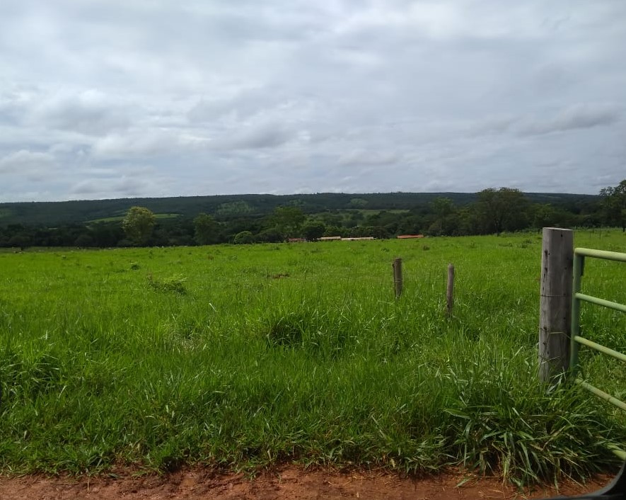 Fazenda, 620 hectares - Foto 9