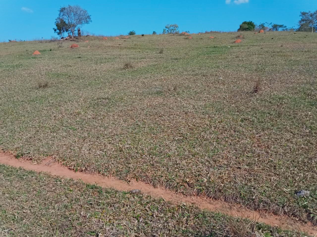 Fazenda, 89 hectares - Foto 6