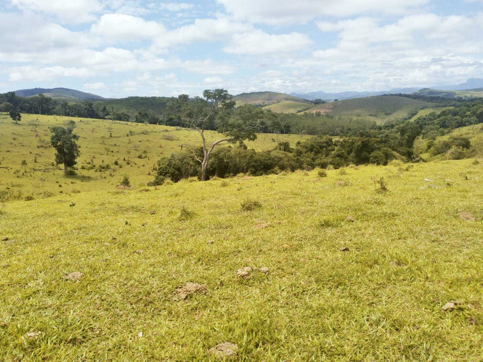 Fazenda, 188 hectares - Foto 17