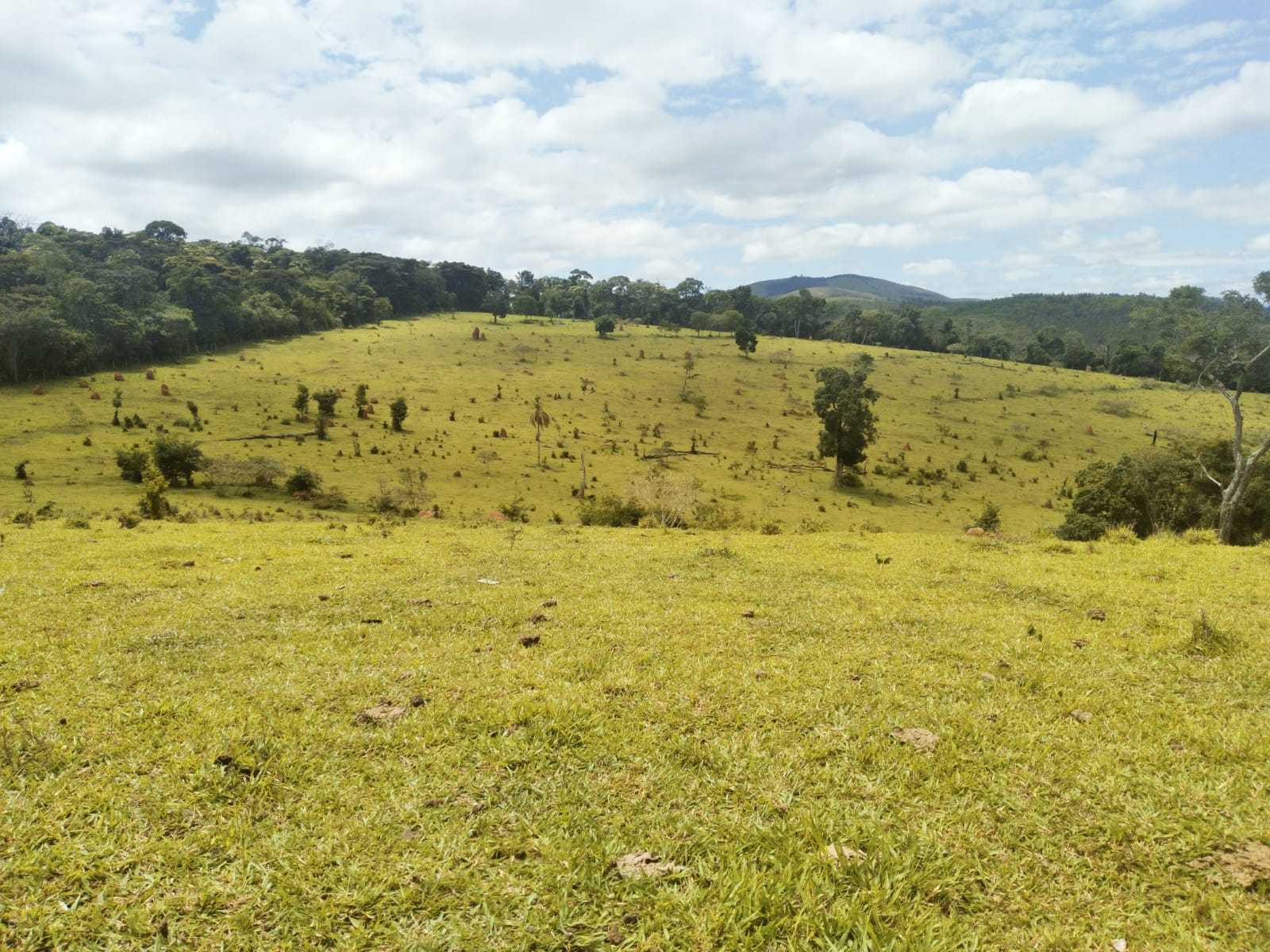 Fazenda, 188 hectares - Foto 18