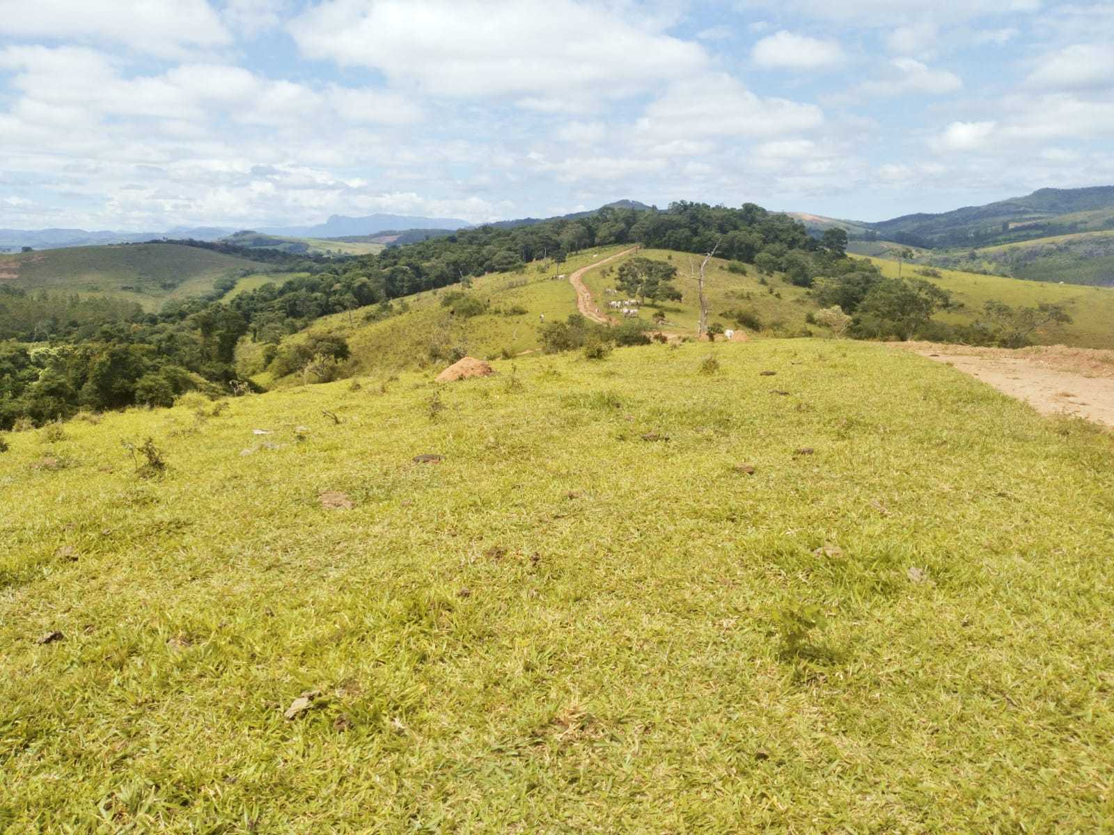 Fazenda, 188 hectares - Foto 20