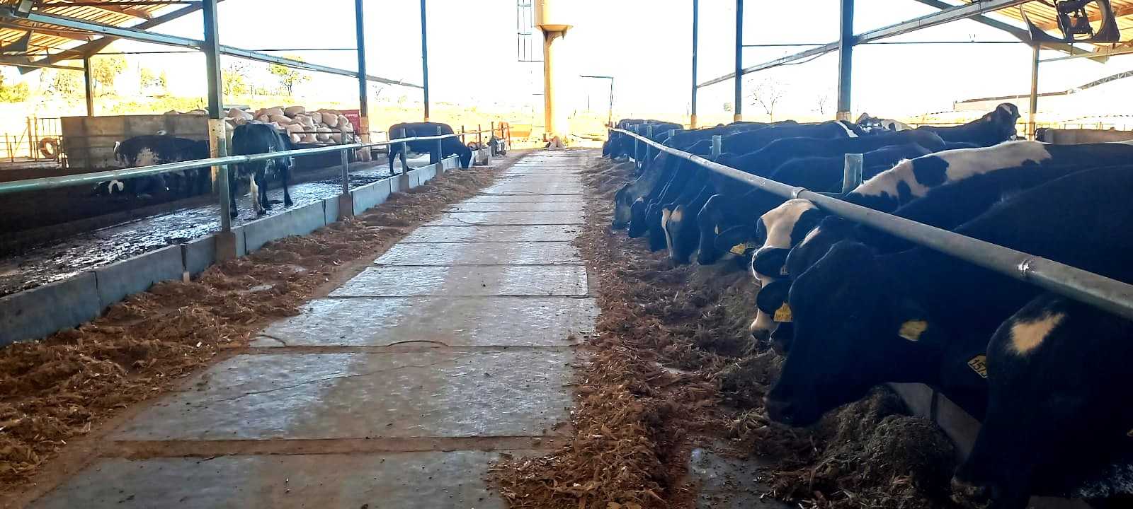 Fazenda, 1 quarto - Foto 6