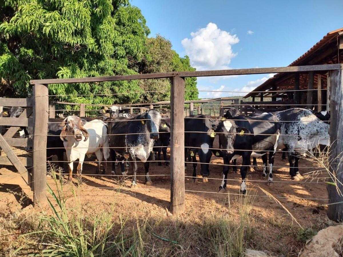 Fazenda, 1 quarto - Foto 18