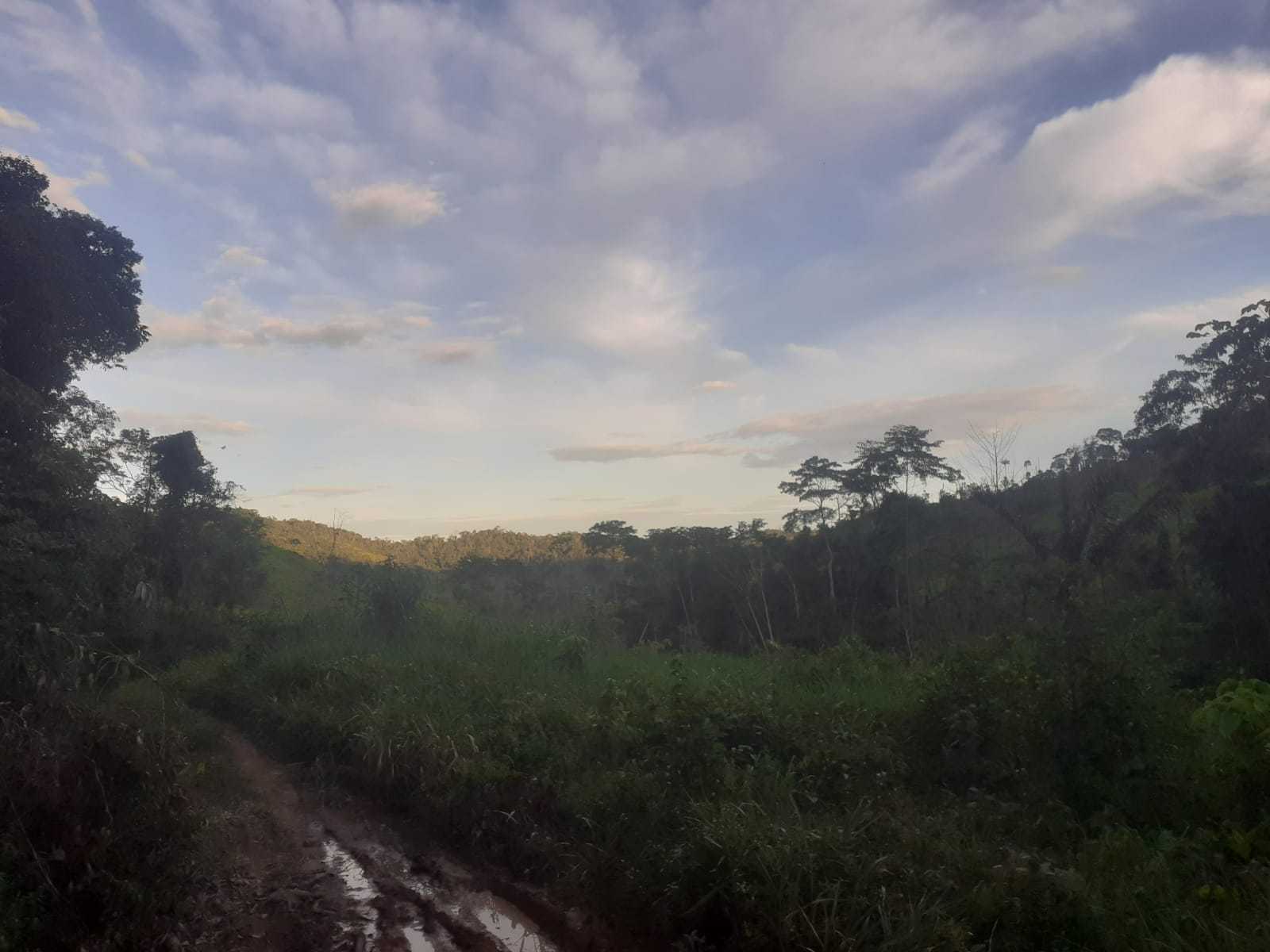 Chácara, 1 quarto, 1162 hectares - Foto 15