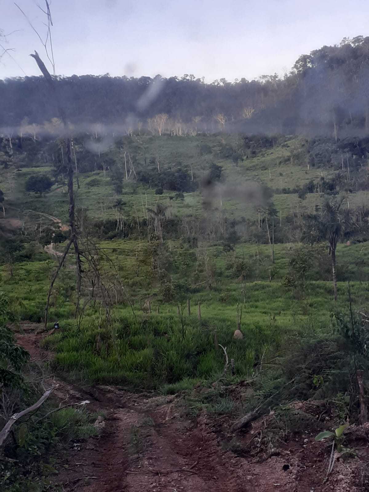 Chácara, 1 quarto, 1162 hectares - Foto 8