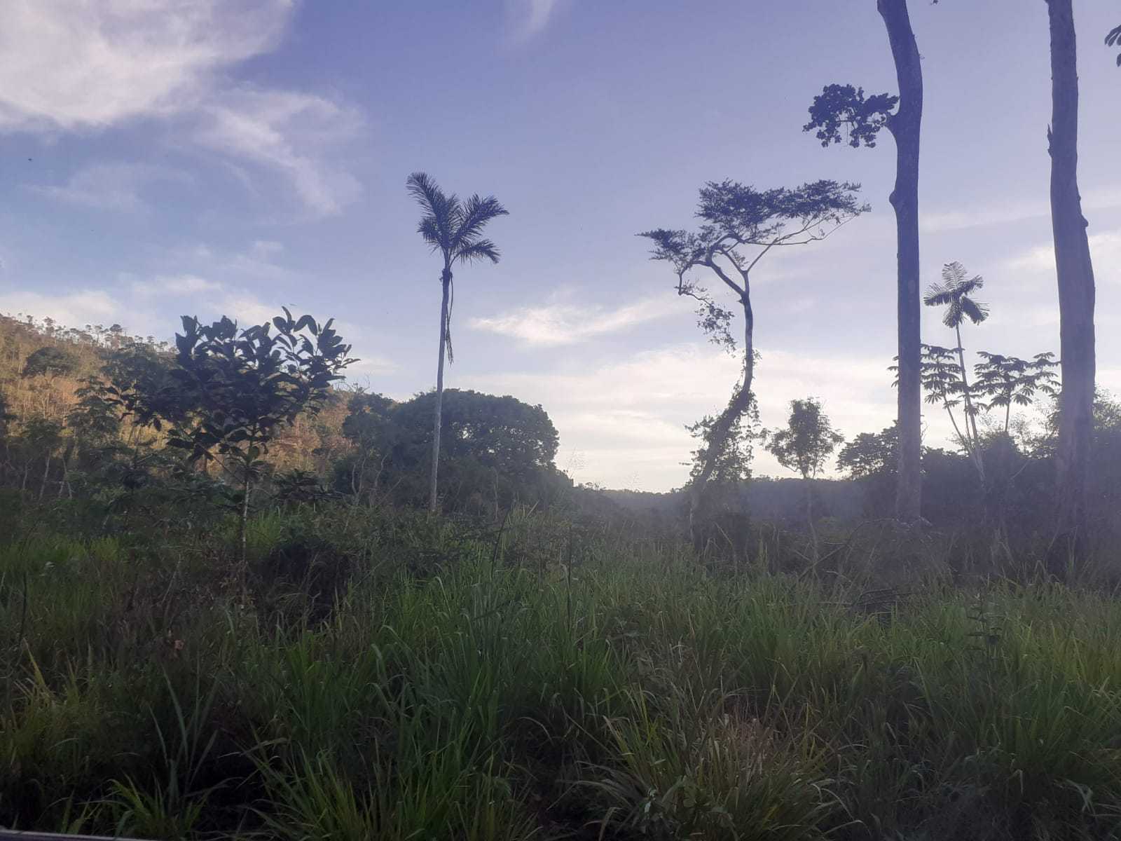 Chácara, 1 quarto, 1162 hectares - Foto 11