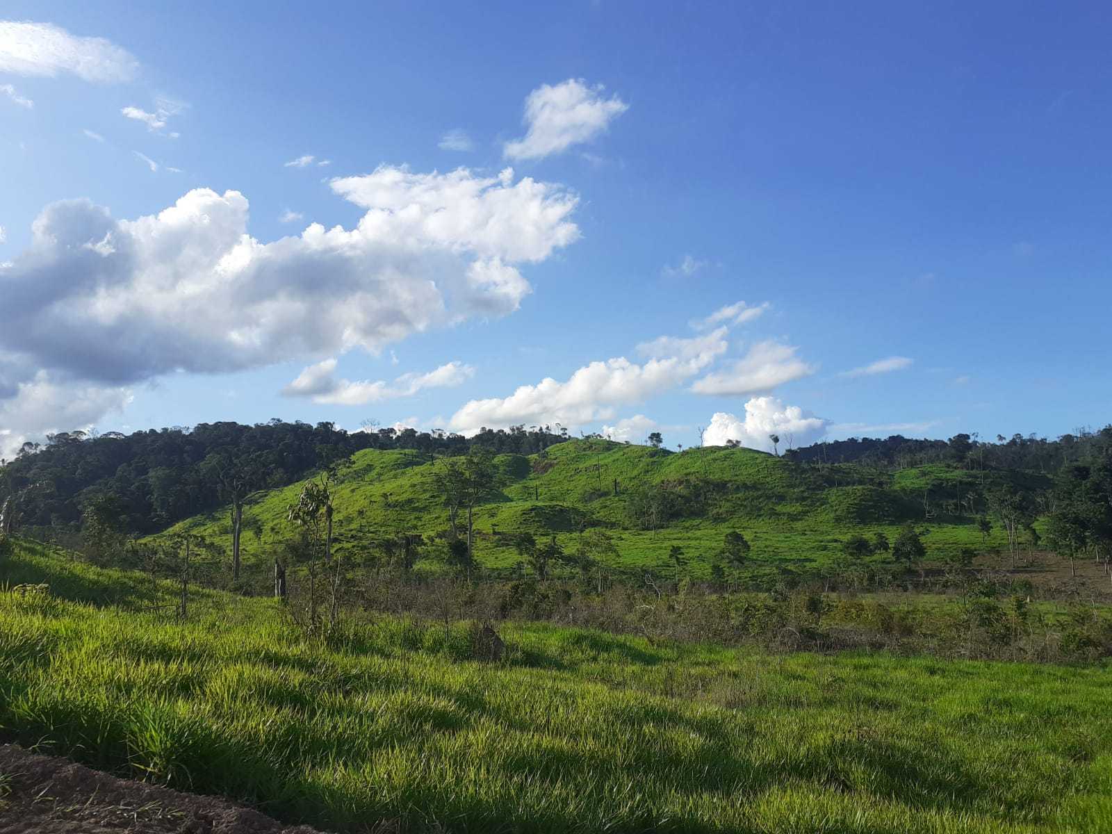 Fazenda, 1162 hectares - Foto 2