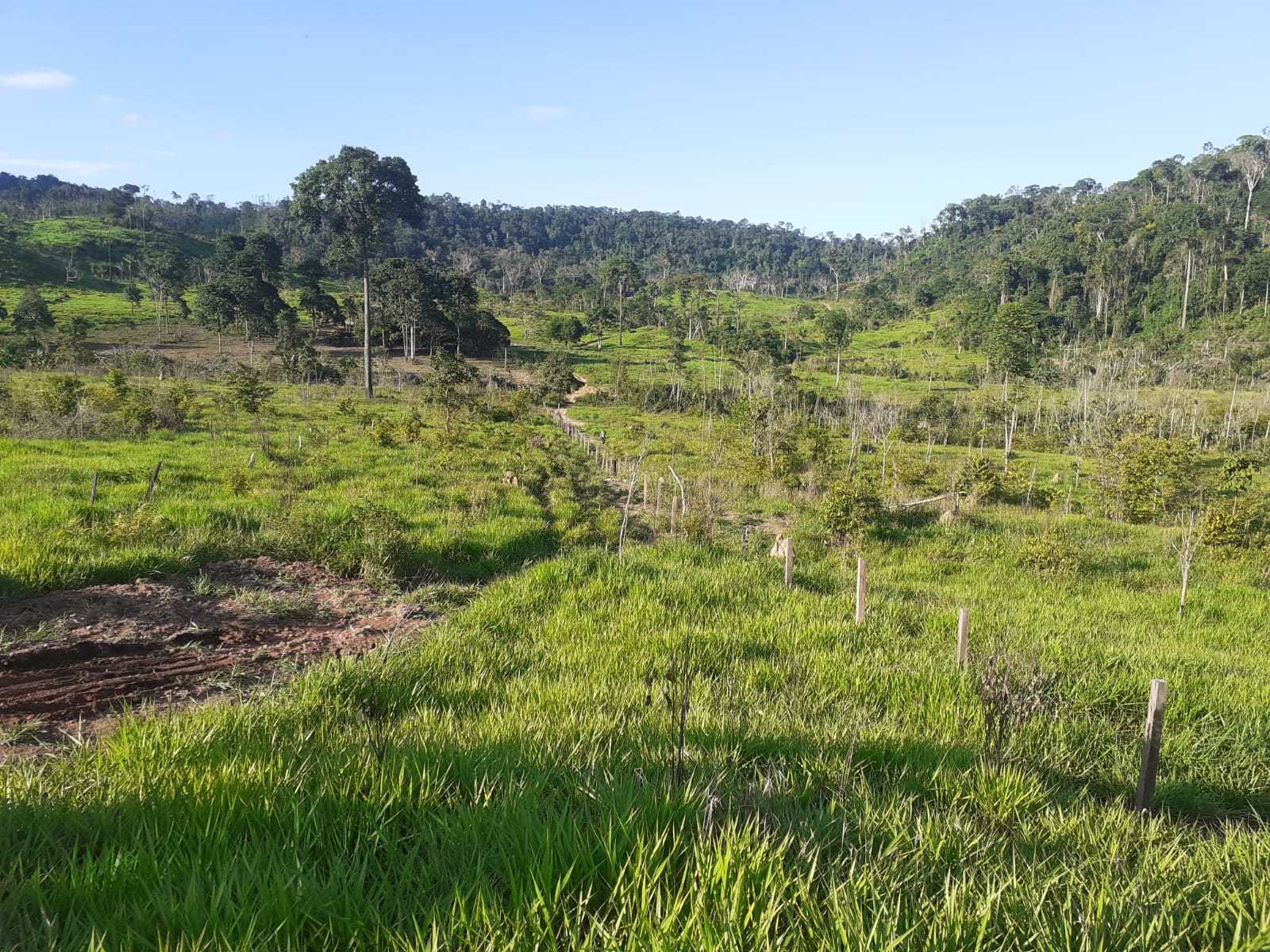 Fazenda, 1162 hectares - Foto 5