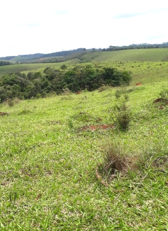 Fazenda, 418 hectares - Foto 5