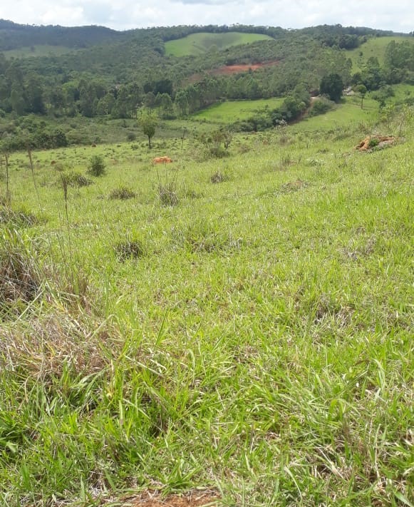 Fazenda, 418 hectares - Foto 2