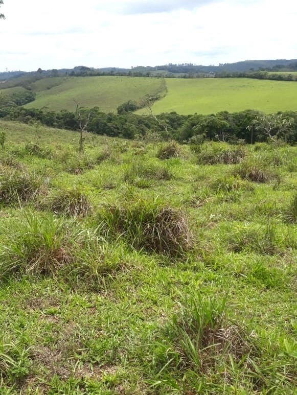 Fazenda, 418 hectares - Foto 1