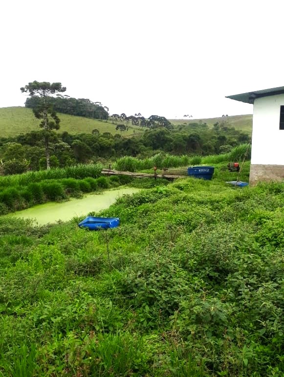 Fazenda, 418 hectares - Foto 9