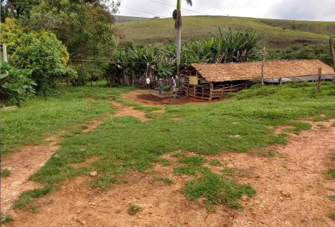 Fazenda, 251 hectares - Foto 5