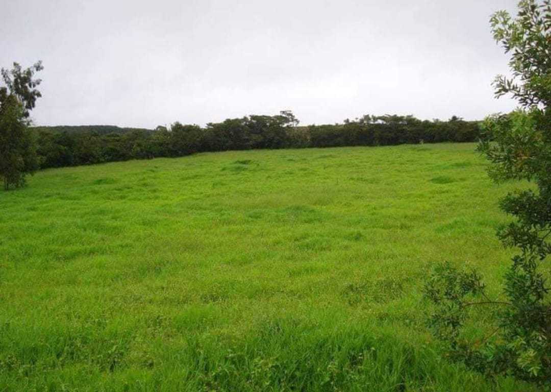 Fazenda, 251 hectares - Foto 1