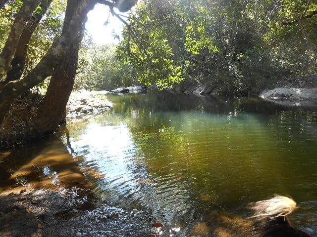 Chácara, 1 quarto, 251 hectares - Foto 10