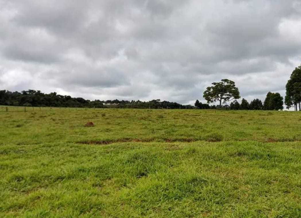 Chácara, 1 quarto, 251 hectares - Foto 6